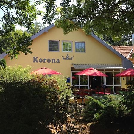 Korona Szallo 호텔 나지카니자 외부 사진